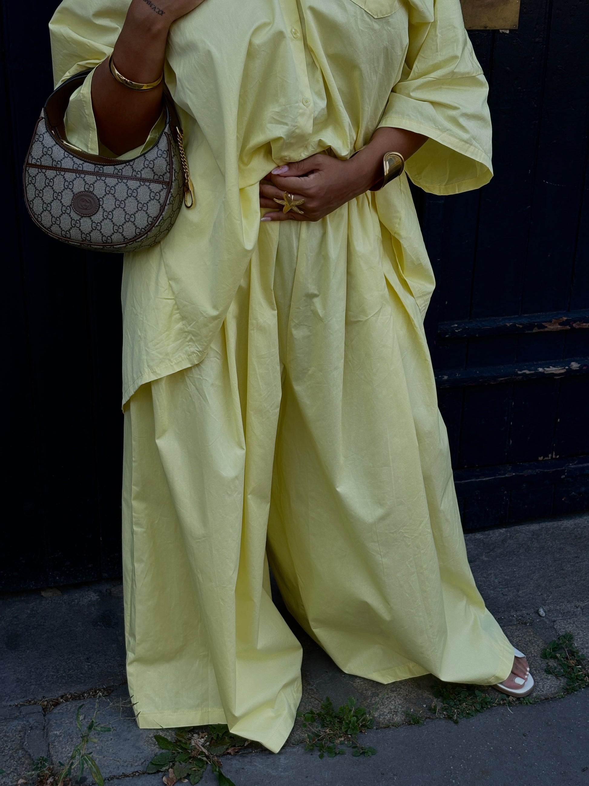 Ensemble SINAA LEMON