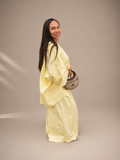 Ensemble SINAA LEMON