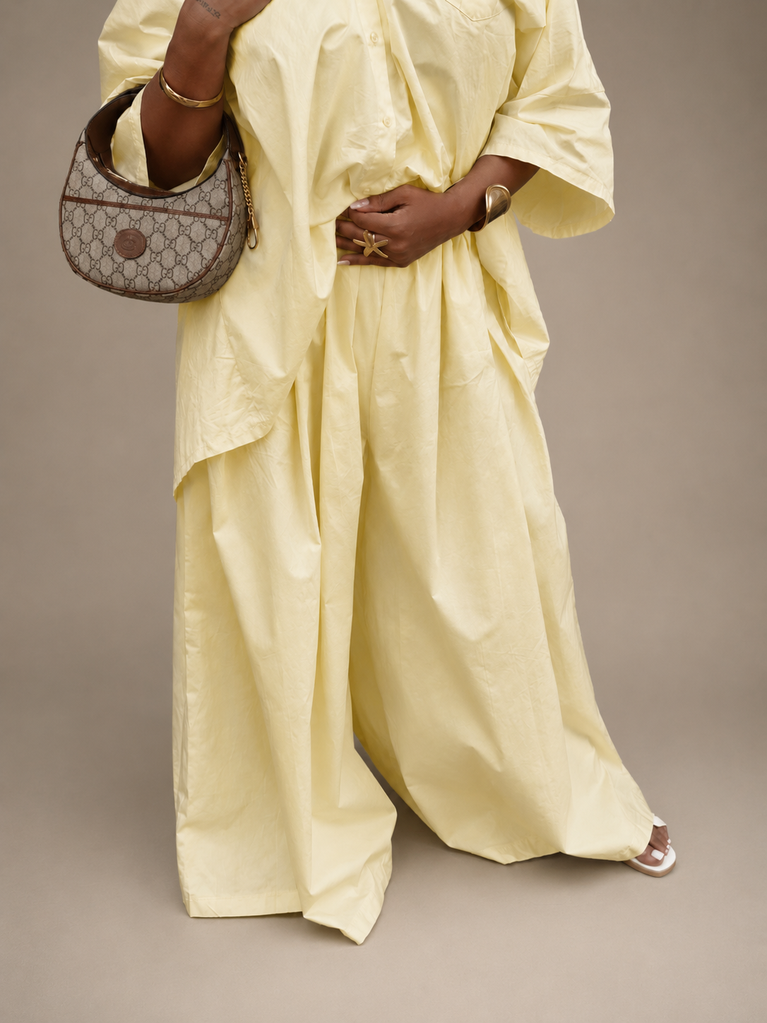 Ensemble SINAA LEMON