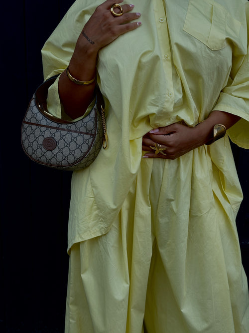 Ensemble SINAA LEMON