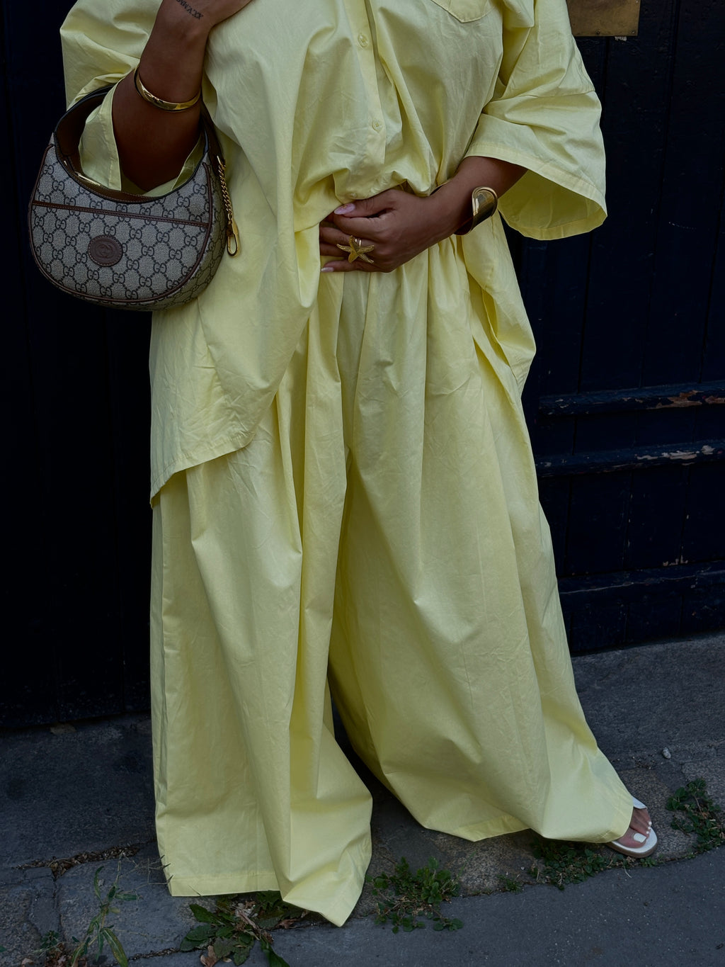 Ensemble SINAA LEMON