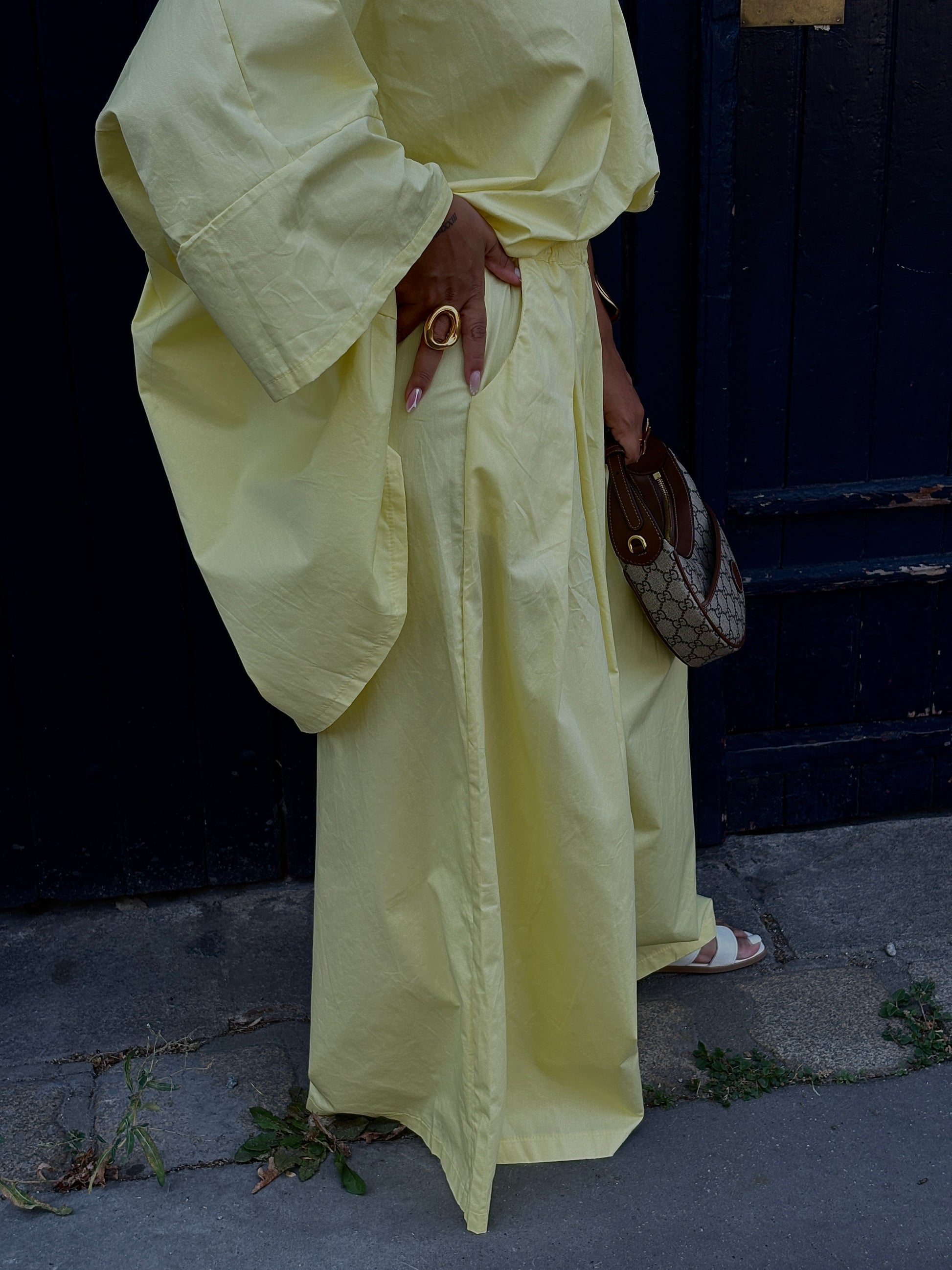 Ensemble SINAA LEMON