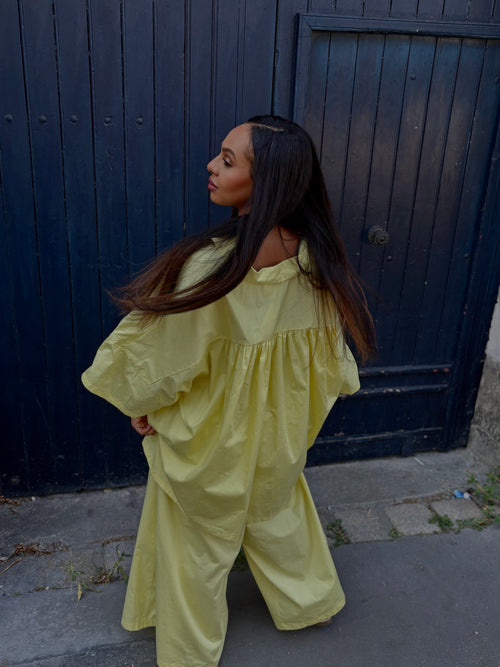 Ensemble SINAA LEMON