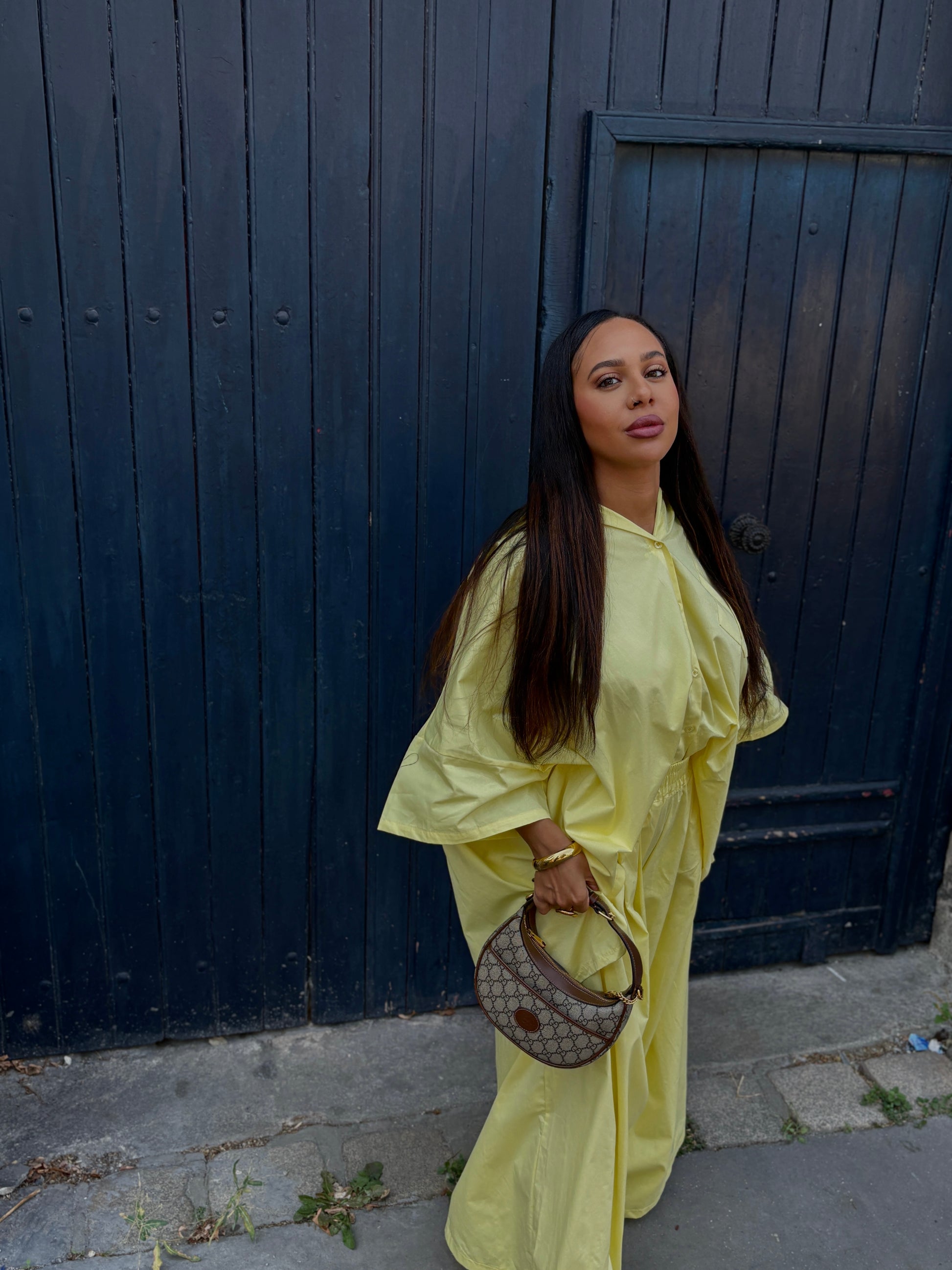 Ensemble SINAA LEMON